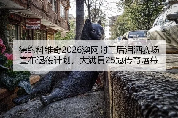 德约科维奇2026澳网封王后泪洒赛场宣布退役计划，大满贯25冠传奇落幕