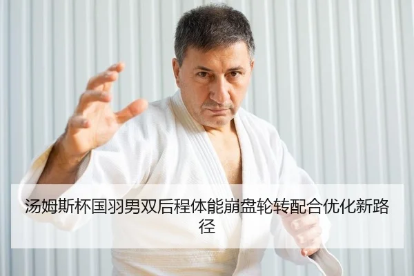 tang-mu-si-bei-guo-yu-nan-shuang-hou-cheng-ti-neng-beng-pan-lun-zhuan-pei-he-you-hua-xin-lu-jing-2-371.jpg
